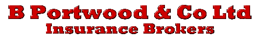 Portwood over 75 travel insurance logo
